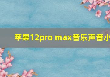 苹果12pro max音乐声音小